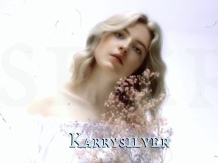 Karrysilver