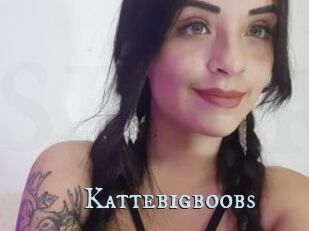 Kattebigboobs