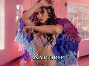 Kattrose