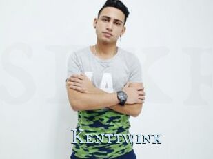 Kenttwink