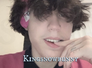 Kingsnowbunny