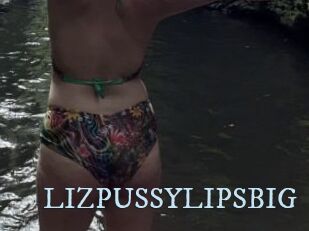 LIZPUSSYLIPSBIG