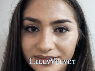 LillyVelvet