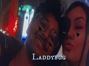 Laddybug