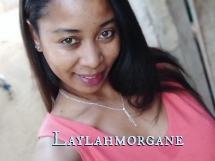 Laylahmorgane