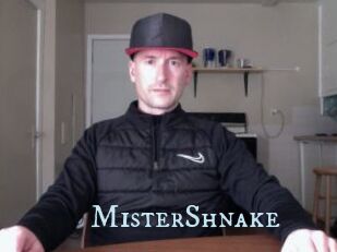 MisterShnake