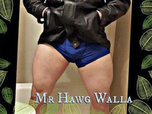 Mr_Hawg_Walla