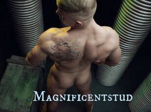 Magnificentstud