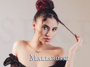 Maliarosse