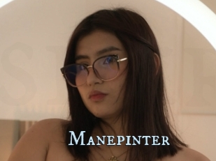 Manepinter