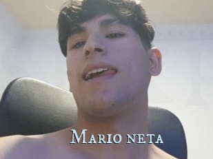 Mario_neta