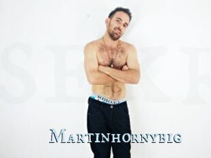 Martinhornybig