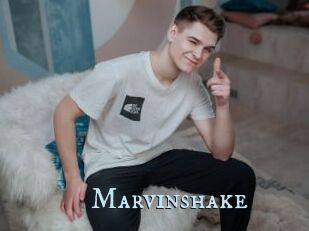 Marvinshake