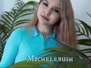 Michelebush