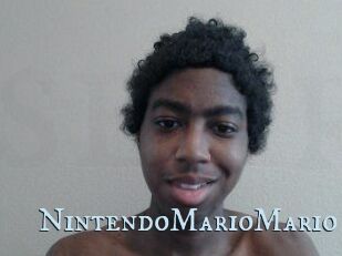 NintendoMarioMario