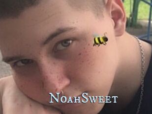 NoahSweet