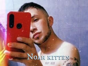 Noah_kitten