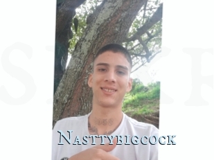 Nasttybigcock