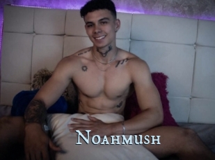 Noahmush