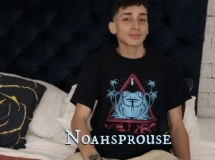 Noahsprouse