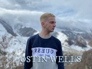 OSTIN_WELLS