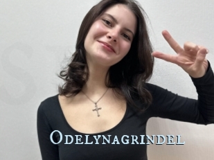 Odelynagrindel