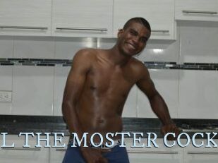 POOL_THE_MOSTER_COCK