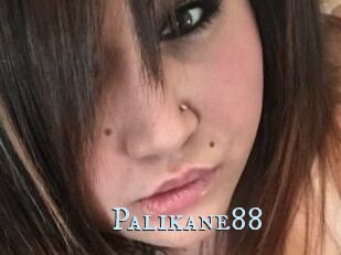 Palikane88