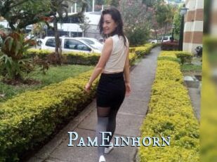 PamEinhorn