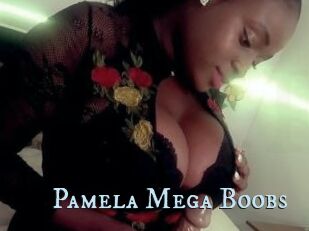 Pamela_Mega_Boobs