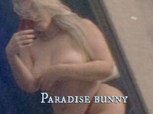 Paradise_bunny