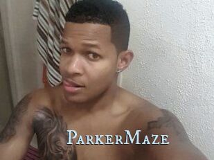 Parker_Maze