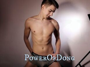 PowerOfDong