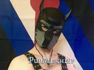 PupMischief