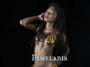 Pameladir