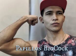 Papillon_BigCock