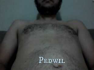 Pedwil