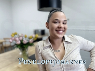 Penelopejohannes