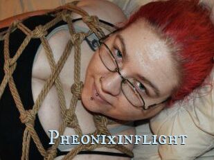 Pheonixinflight