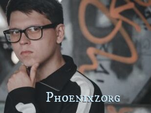 Phoenixzorg