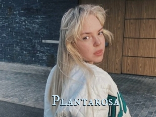 Plantarosa