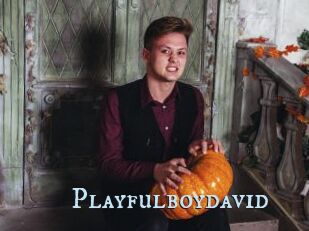 Playfulboydavid