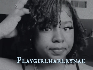 Playgirlharleynae