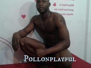 Pollonplayful