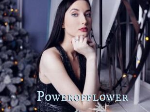 Powerofflower