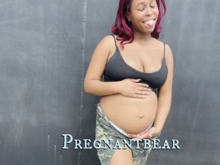 Pregnantbear