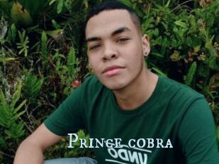 Prince_cobra