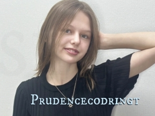 Prudencecodringt