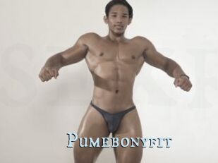 Pumebonyfit