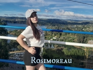 Rosimoreau